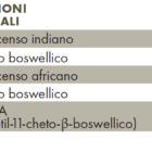 Valori nutrizionali ZREEN Boswellia 800